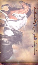 المتواجدون الآن ؟
