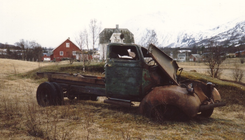 Skogsvrak og prosjekter