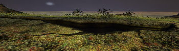 Friends of the Fissure