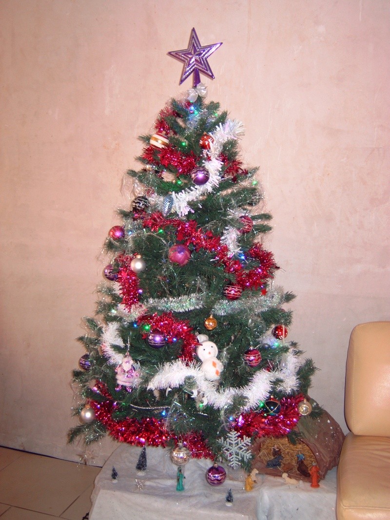 m4110010.jpg
