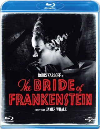 Frankenstein 1931 Torrent Downloads Download