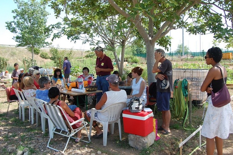 forum frontignan, compostage aux jardins familiaux et collectifs du caramus à Frontignan