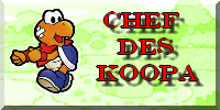 Chef des Koopa Chef des Koopa