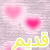 لا مساهمات جديدة لا مساهمات جديدة