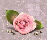 المنتدى مُقفل