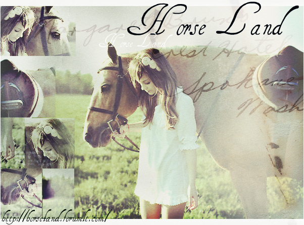 Horse Land