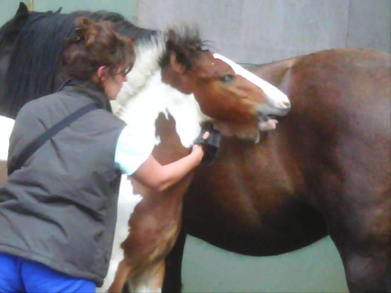 Rencontre ramonchamp