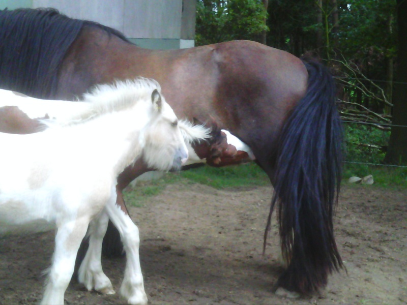 Rencontre ramonchamp