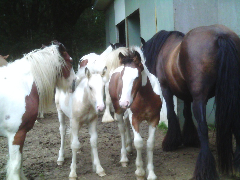 Rencontre ramonchamp