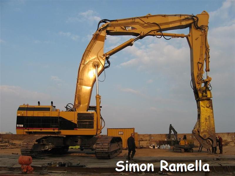 cat51111.jpg