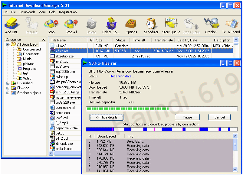 скачать internet download manager без регистрации