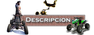 info15.png