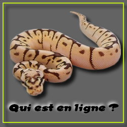 Qui est en ligne ?