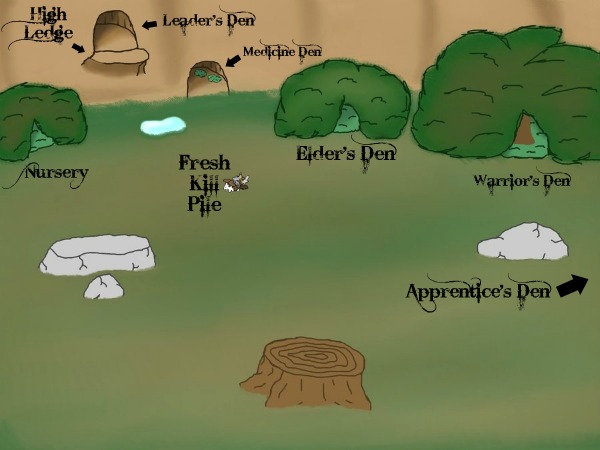 Warrior Cats Thunderclan Camp Forest Territory