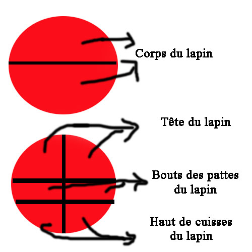 lapin110.jpg