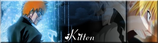 kitten11.jpg