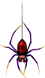 spider10.png