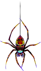 spider13.png