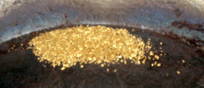 Gold prospecting oallen ford #9