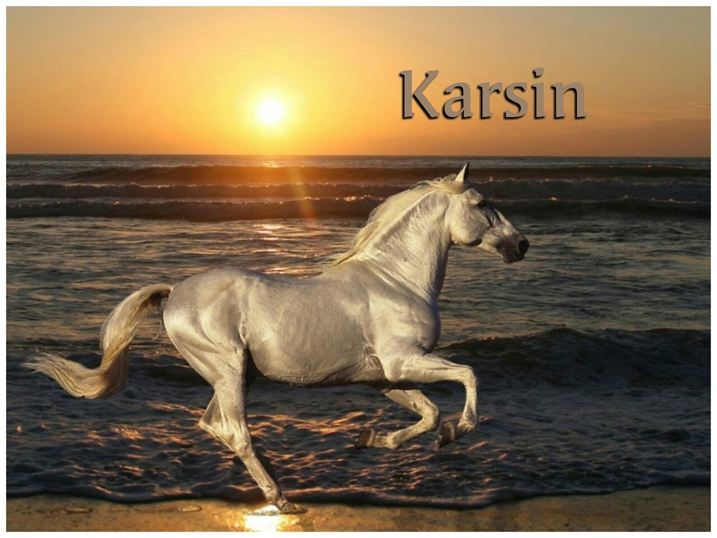 KARSIN