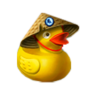 canard11.png